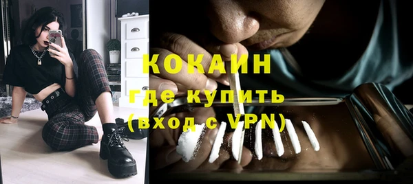 ПСИЛОЦИБИНОВЫЕ ГРИБЫ Нея