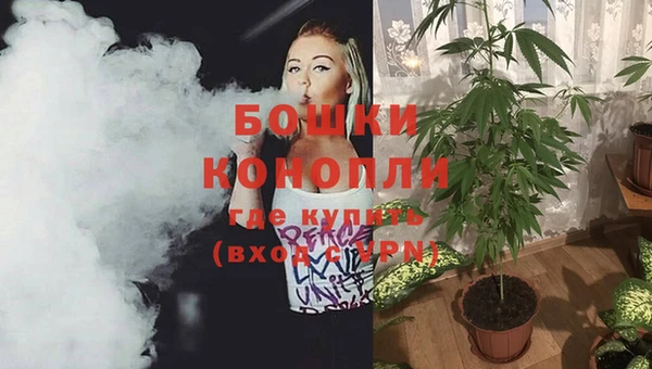 прущие крисы Нефтекумск