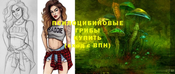 прущие крисы Нефтекумск