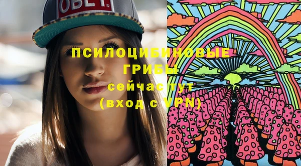 ПСИЛОЦИБИНОВЫЕ ГРИБЫ Нея